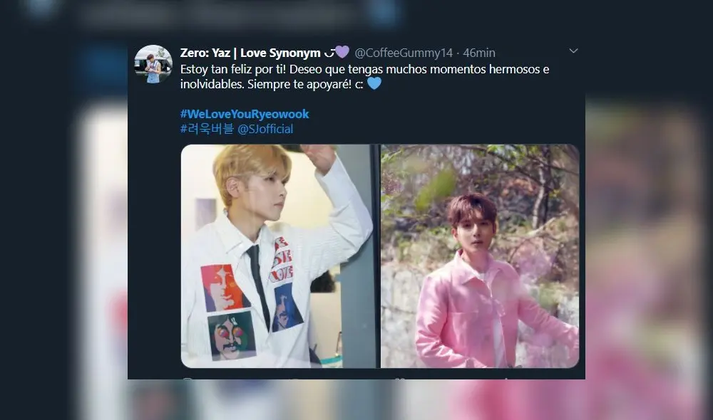 Publicaciones de ELF apoyando a Ryeowook de SUPER JUNIOR y Ari, ex Tahiti. Captura: Twitter Publicaciones de ELF apoyando a Ryeowook de SUPER JUNIOR y Ari, ex Tahiti. Captura: Twitter