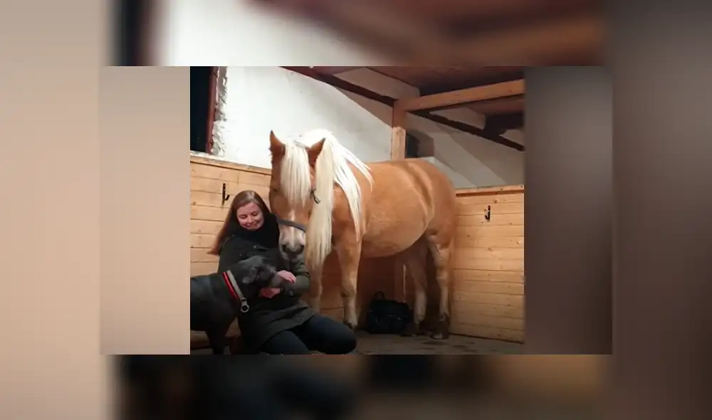 Desliza hacia la izquierda para ver las imágenes del viral de Facebook.