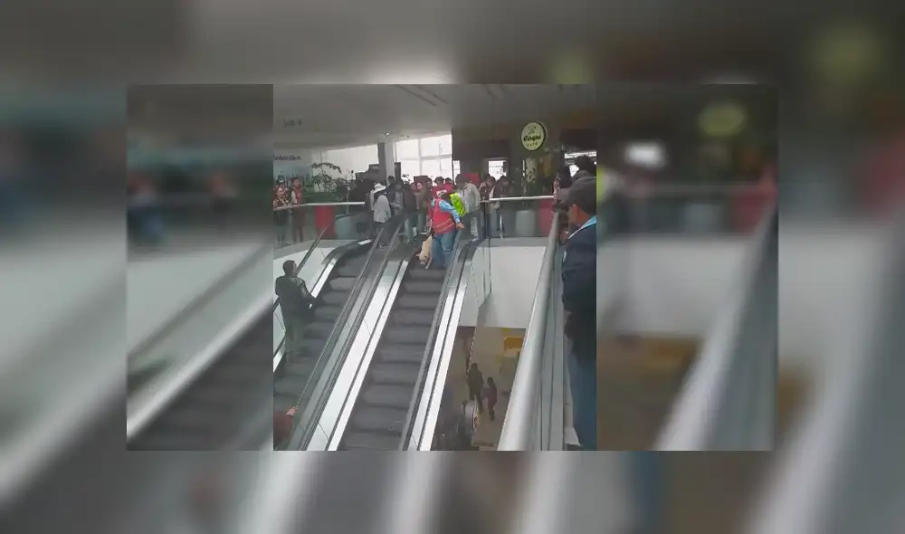 Peruano grabó el curioso momento en el que personal de seguridad de Real Plaza ayuda a un temeroso perro a bajar del segundo piso Peruano grabó el curioso momento en el que personal de seguridad de Real Plaza ayuda a un temeroso perro a bajar del segundo piso