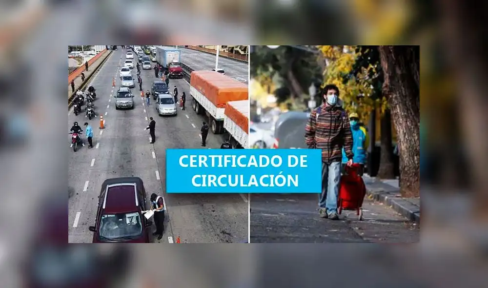 Certificado de circulación en Argentina. Foto: composición.