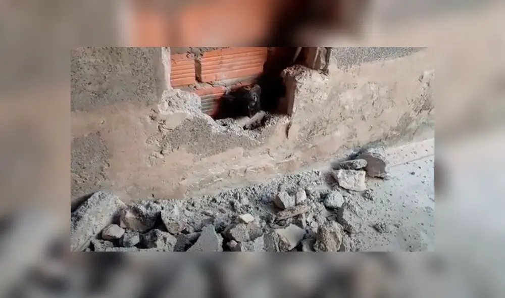 Desliza hacia la izquierda para ver el conmovedor rescate que se hizo viral en Facebook. Video: Captura. Desliza hacia la izquierda para ver el conmovedor rescate que se hizo viral en Facebook. Video: Captura.