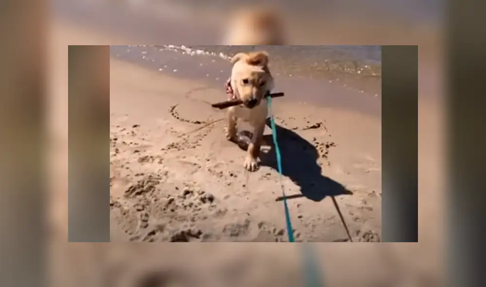 Desliza hacia la izquierda para ver las imágenes del viral de Facebook. Foto: Captura.