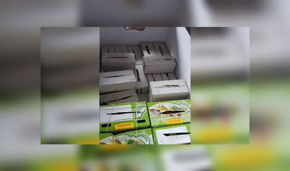 Las tangaras son aves muy sensibles y delicadas, caracterizadas por sus colores llamativos, motivo por el cual son muy solicitadas por traficantes y coleccionistas. (Foto: Serfor) Las tangaras son aves muy sensibles y delicadas, caracterizadas por sus colores llamativos, motivo por el cual son muy solicitadas por traficantes y coleccionistas. (Foto: Serfor)