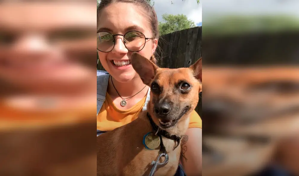 Desliza las imágenes para conocer la historia de una perrita que recibió la ayuda de un hombre para tener un nuevo hogar. Foto: El Dodo/ Referencial