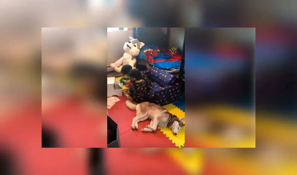 Desliza las imágenes para ver la emotiva escena que protagonizaron los hijos y la mascota de una joven mujer. Foto: RM Videos Desliza las imágenes para ver la emotiva escena que protagonizaron los hijos y la mascota de una joven mujer. Foto: RM Videos