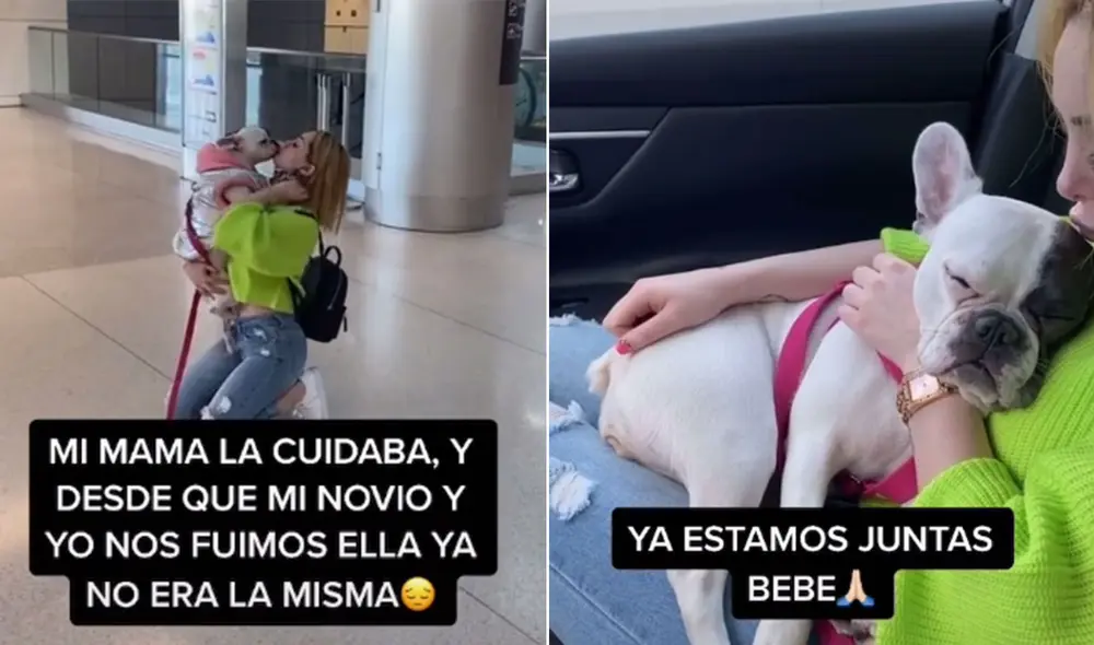 Desliza las imágenes para ver más detalles sobre esta emotiva escena que es viral en redes sociales. Foto: captura de TikTok