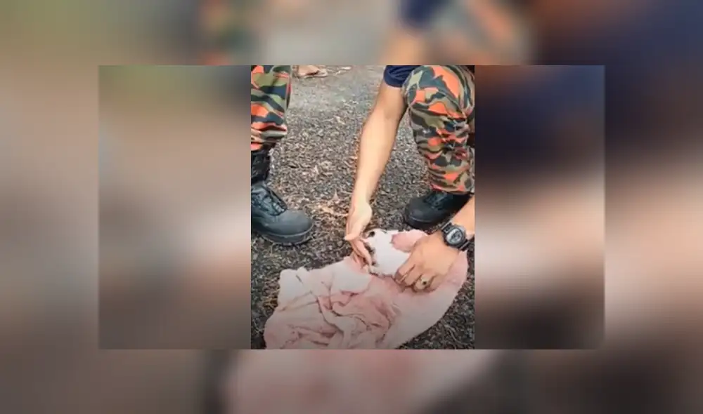 Desliza hacia la izquierda para ver las imágenes del viral de Facebook. Desliza hacia la izquierda para ver las imágenes del viral de Facebook.