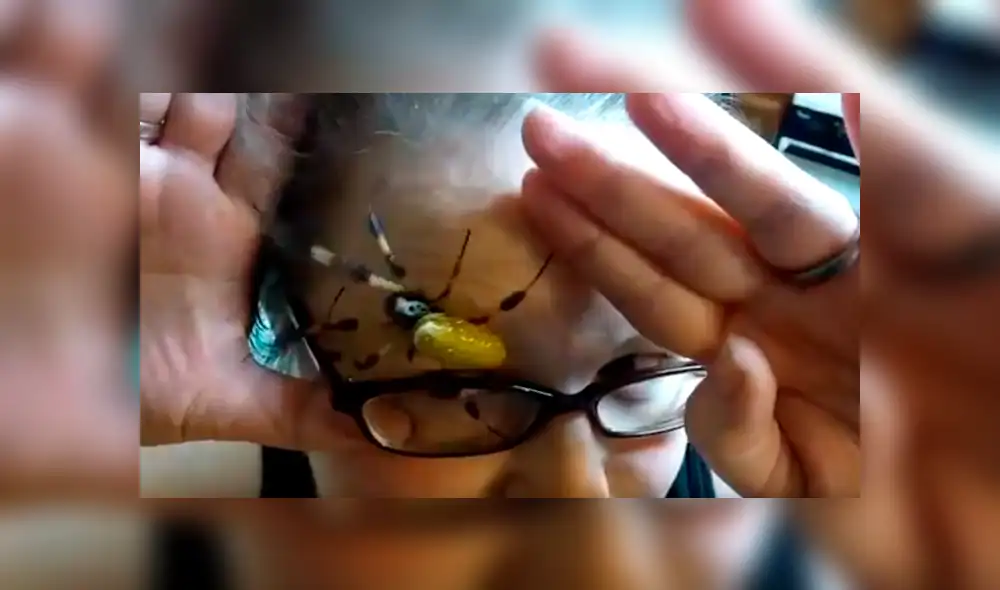 Facebook viral: retan para que joven coloque peligrosa araña en su rostro y sucede lo inesperado [VIDEO]