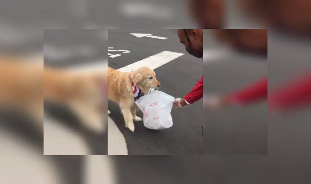 Desliza hacia la izquierda para ver más imágenes de este 'atento' perro que llamó al atención de miles. (Foto: captura / Facebook) Desliza hacia la izquierda para ver más imágenes de este 'atento' perro que llamó al atención de miles. (Foto: captura / Facebook)