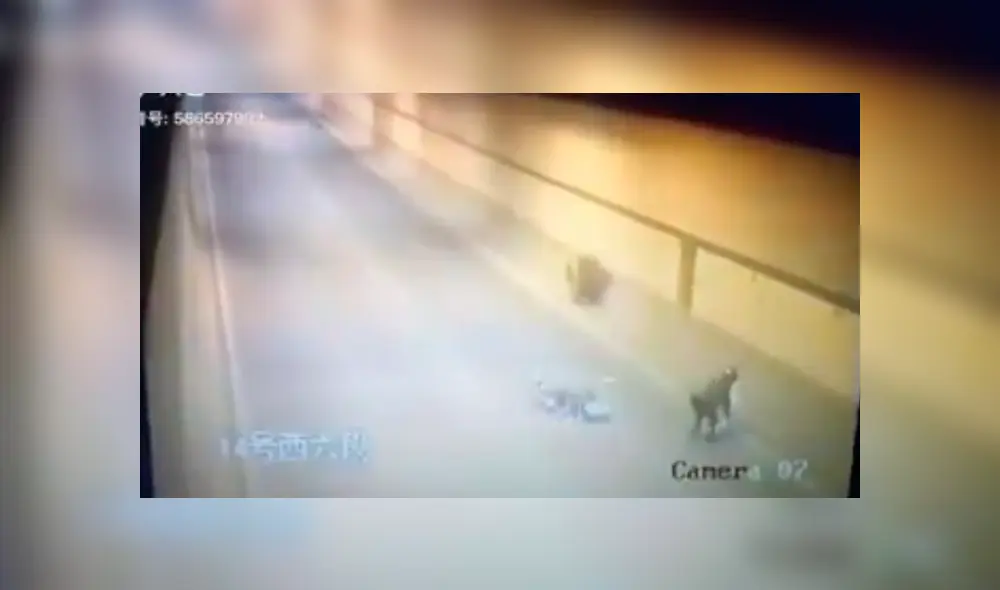 Desliza para ver el desenlace de este video viral de YouTube. Foto: Captura. Desliza para ver el desenlace de este video viral de YouTube. Foto: Captura.