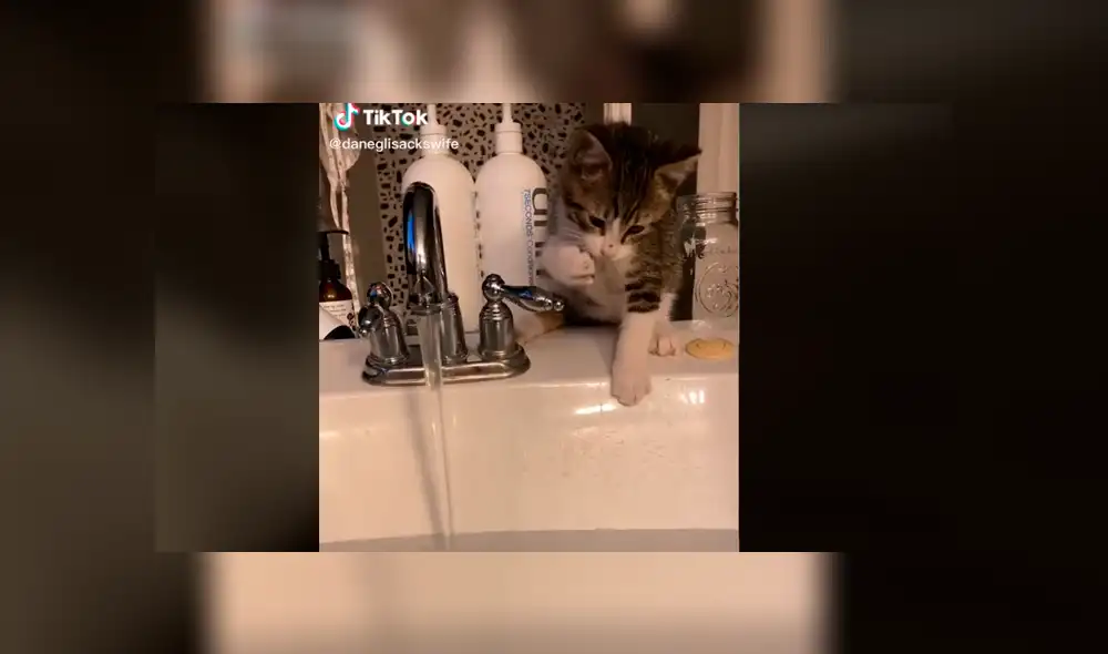 Desliza para ver la secuencia de imágenes de TikTok. Foto: hails_yeah__ Desliza para ver la secuencia de imágenes de TikTok. Foto: hails_yeah__