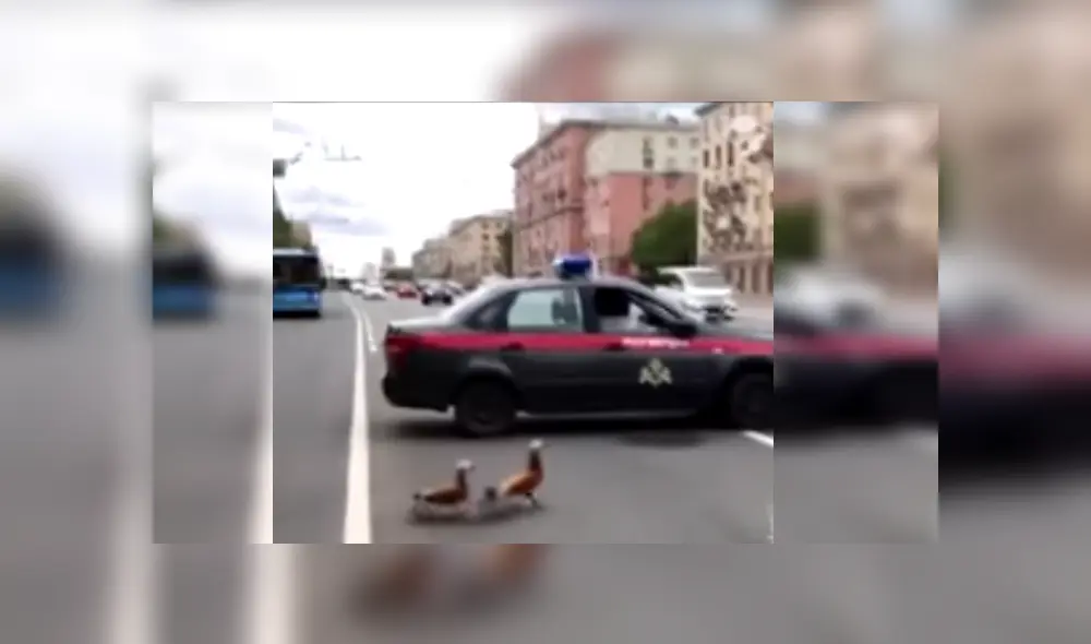 Desliza las imágenes para conocer más de esta escena que es viral en Facebook.