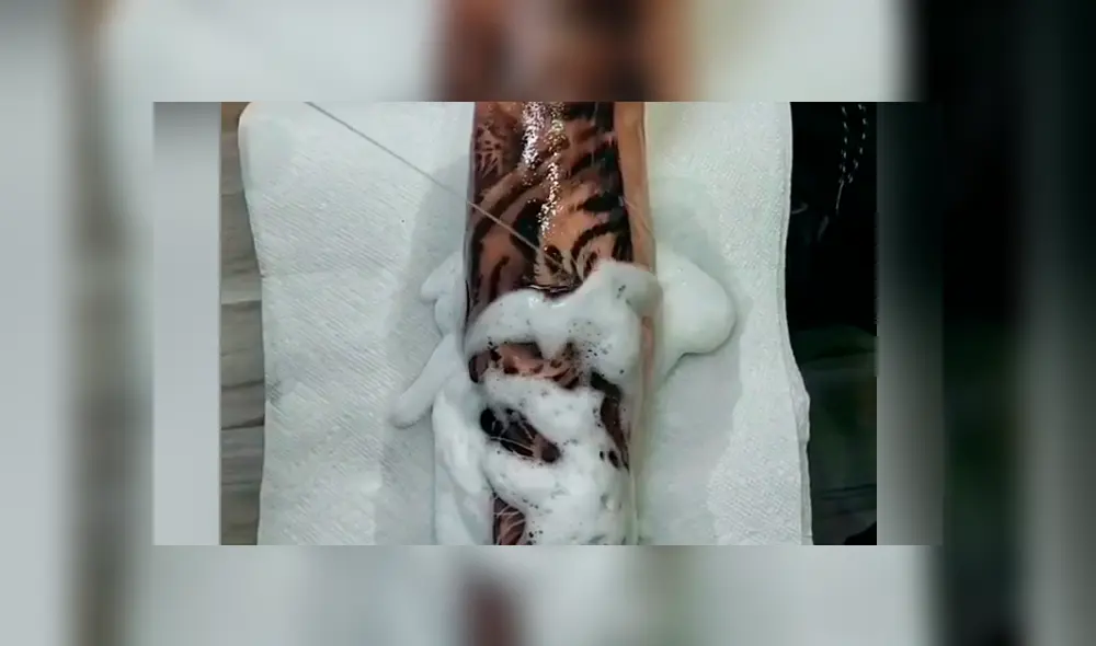 Desliza cada imagen de Facebook que muestra el resultados del tatuaje que se hizo un joven en el brazo. Desliza cada imagen de Facebook que muestra el resultados del tatuaje que se hizo un joven en el brazo.