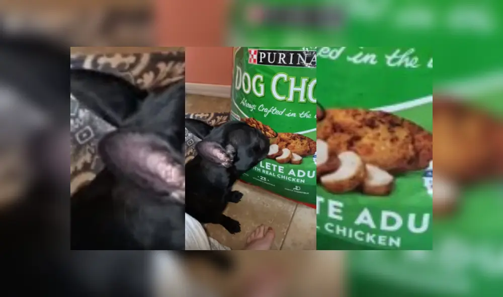 Desliza hacia la izquierda para ver más del video viral