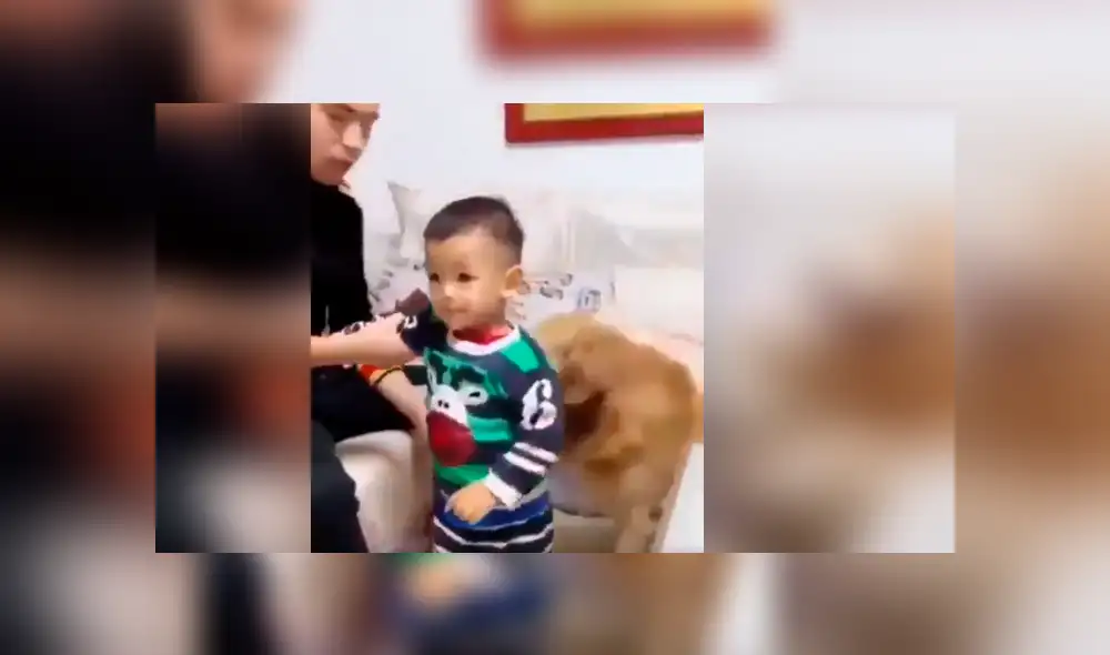 Vía Facebook. El papá simuló golpear a su bebé delante del can, sin imaginar la peculiar intervención que tendría este para proteger al pequeño