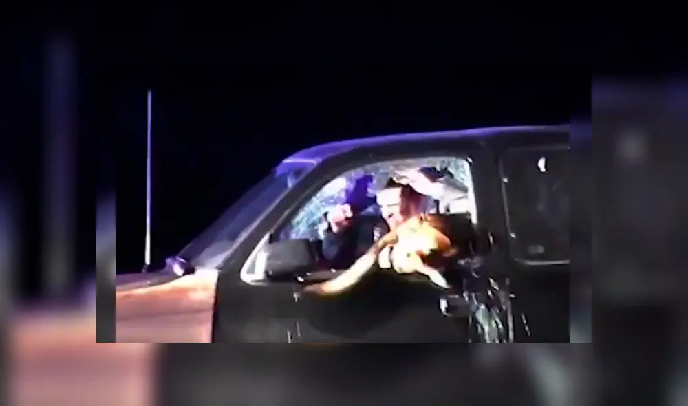 Video es viral en YouTube. Tras una intensa persecución de la policía, el can logró atrapar al sospechoso de un asalto a mano armada Video es viral en YouTube. Tras una intensa persecución de la policía, el can logró atrapar al sospechoso de un asalto a mano armada