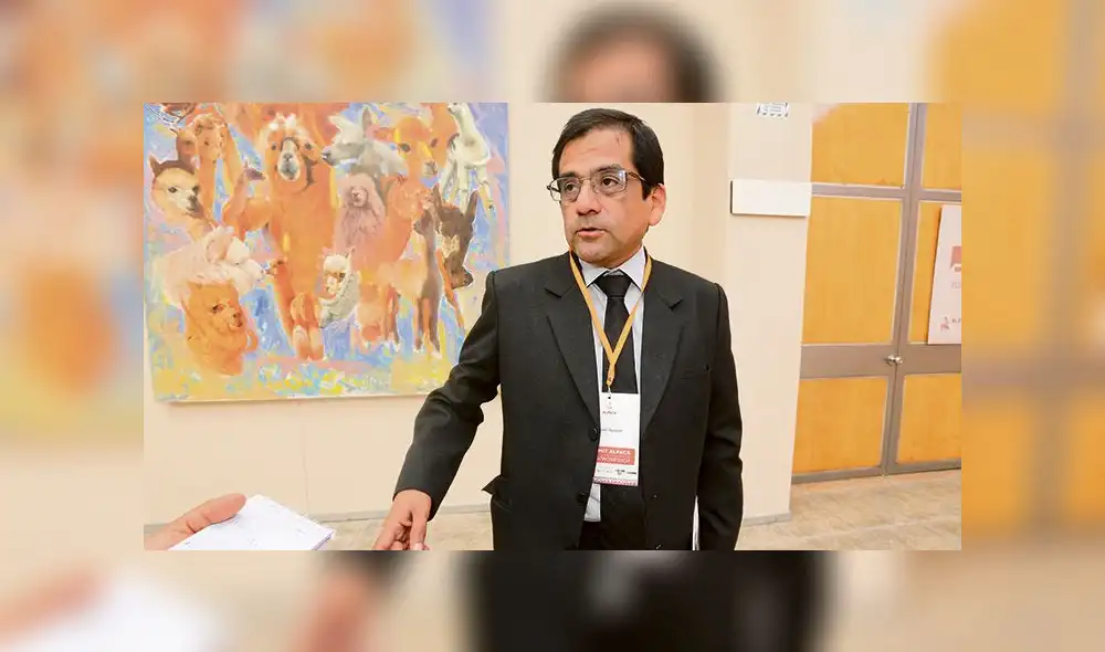 Zonas altoandinas para pastoreo se degradan por mal manejo de suelo en Arequipa Zonas altoandinas para pastoreo se degradan por mal manejo de suelo en Arequipa