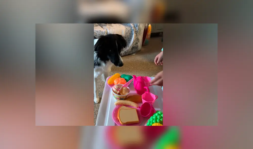 Desliza las imágenes para ver la curiosa escena que registró una madre entre su hija y su perro. Foto: ViralHog/YT Desliza las imágenes para ver la curiosa escena que registró una madre entre su hija y su perro. Foto: ViralHog/YT