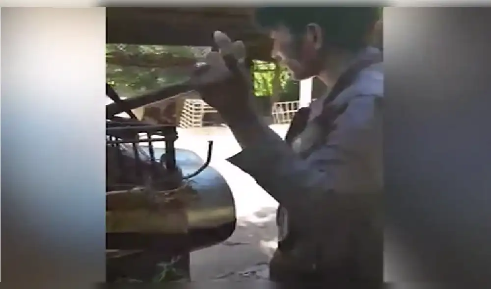 Graban condiciones de maltrato a perros en matadero de Camboya [VIDEO y FOTOS]