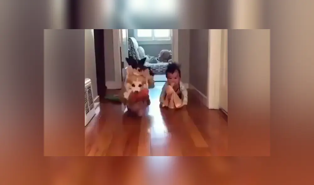 Desliza para ver los momentos más tiernos del video que se hizo viral en Facebook. Desliza para ver los momentos más tiernos del video que se hizo viral en Facebook.