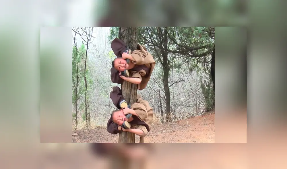 Facebook viral: niños se someten a exhaustas practicas de Kung- Fu para convertirse en monjes Shaolin  [VIDEO] 