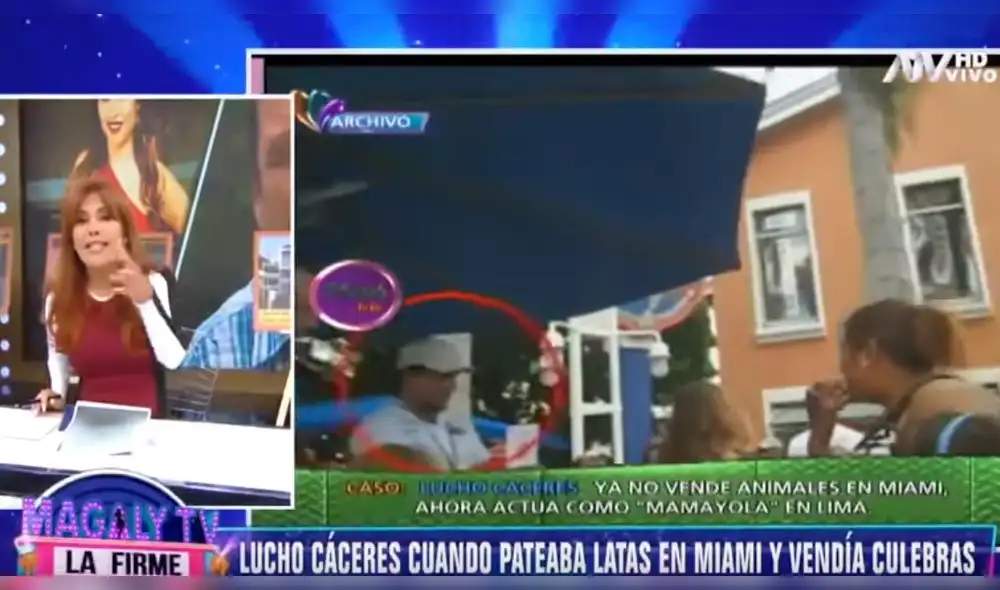 ¿Magaly Medina atacó a Lucho Cáceres por Gisela?: "Fue vendedor de culebras” ¿Magaly Medina atacó a Lucho Cáceres por Gisela?: "Fue vendedor de culebras”
