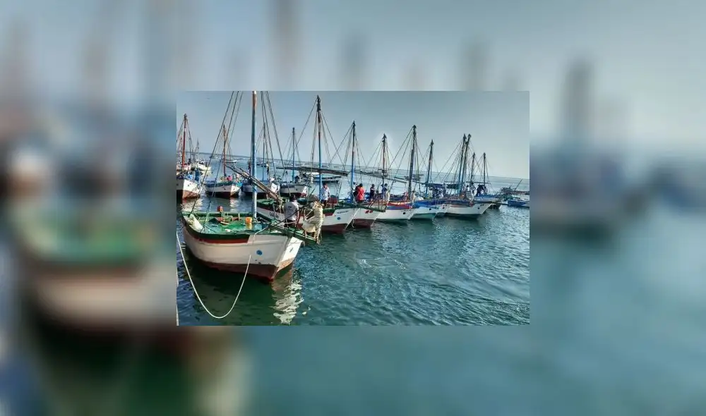 Piura: declaran patrimonio la pesca con velero artesanal