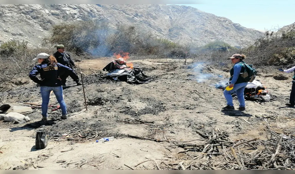 Personal del Serfor, Departamento Policial de Medio Ambiente y la Fiscalía Especializada en Materia Ambiental del Santa. Personal del Serfor, Departamento Policial de Medio Ambiente y la Fiscalía Especializada en Materia Ambiental del Santa.