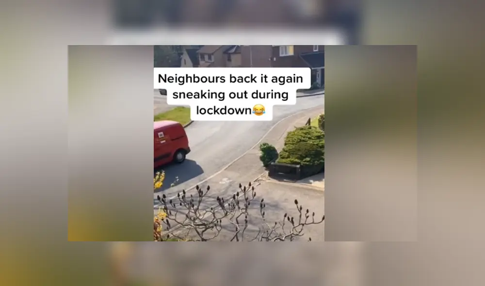 A través de TIkTok se hizo viral el momento en que un hombre sale a la calle disfrazado de arbusto en la cuarentena.