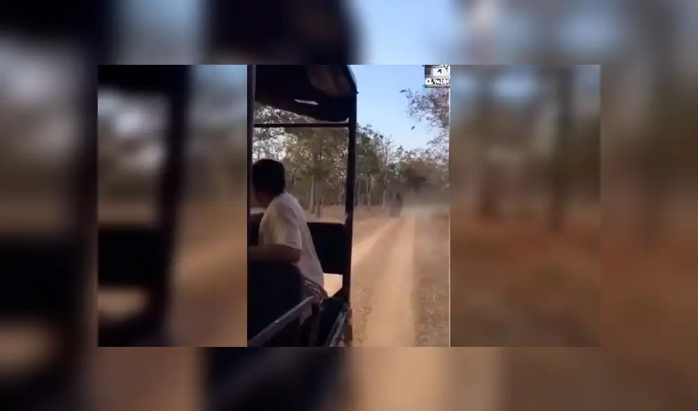YouTube viral: elefante enojado intenta matar a turistas que invadieron su territorio [VIDEO]