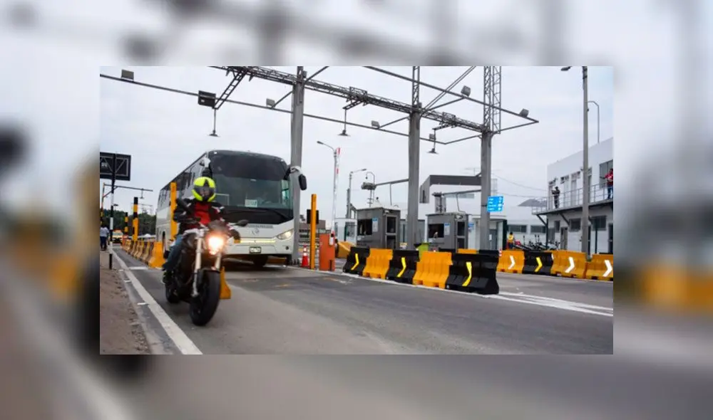 Un juzgado aceptó el habeas corpus presentado por la Municipalidad de La Molina en diciembre de 2019. Foto: Andina Un juzgado aceptó el habeas corpus presentado por la Municipalidad de La Molina en diciembre de 2019. Foto: Andina