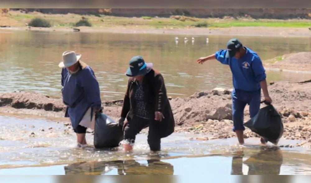 Voluntarios de Puno recolectaron 10 toneladas de basura en río Ilave.