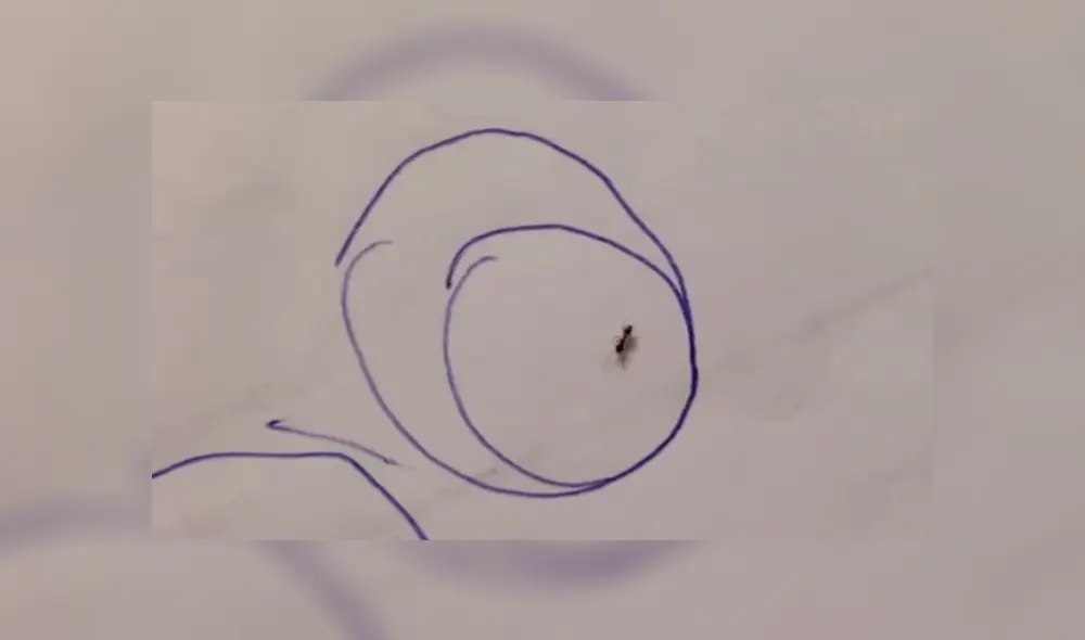 Desliza para ver los detalles del video viral publicado en YouTube. Foto: Captura.