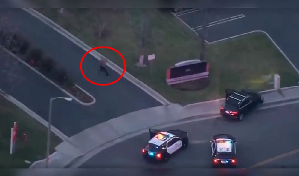 Facebook viral: perro taclea a ladrón y termina con persecución policial en EE.UU. [VIDEO]