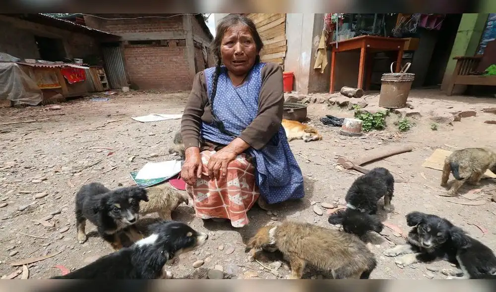 Ella vive de la caridad de sus vecinos del distrito de San Sebastián en Cusco. Foto: Sequeiros Juan Carlos-Perú21 Ella vive de la caridad de sus vecinos del distrito de San Sebastián en Cusco. Foto: Sequeiros Juan Carlos-Perú21