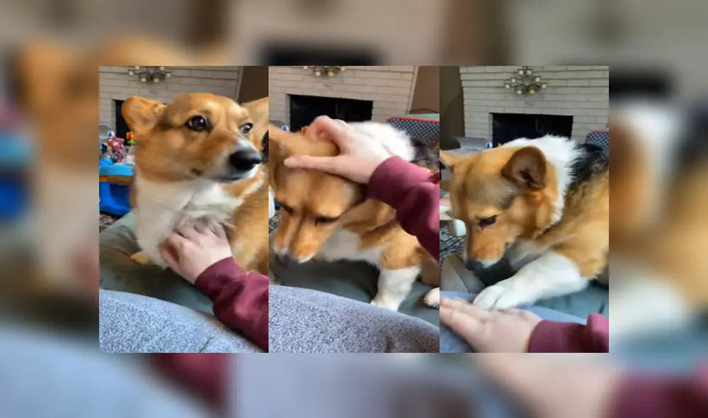 Desliza para ver los detalles del video viral publicado en YouTube. Foto: Captura.