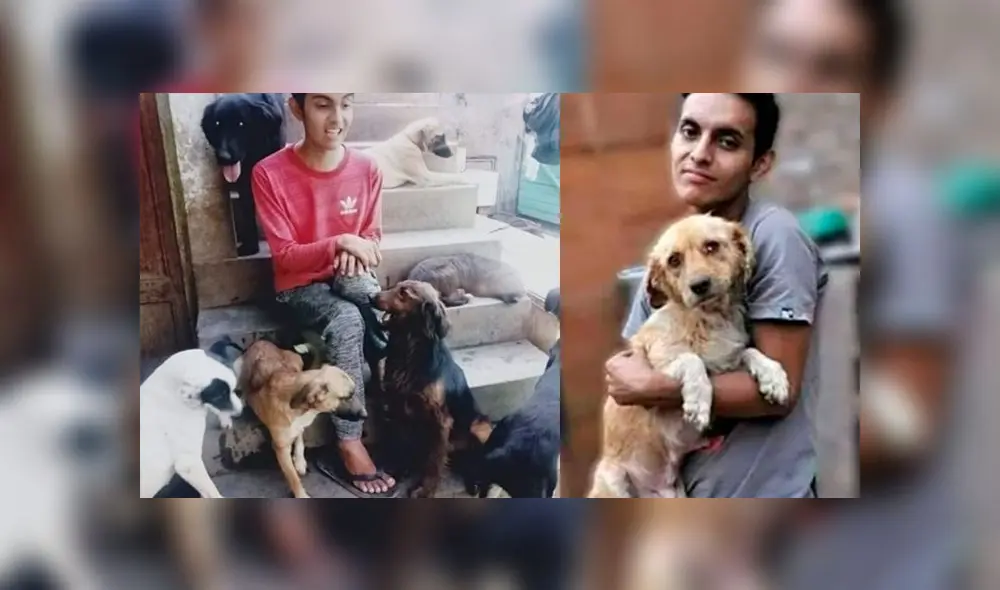 Edwin Ramírez Neyra era conocido como un incansable rescatista y activista por la defensa animal. (Foto: Facebook)