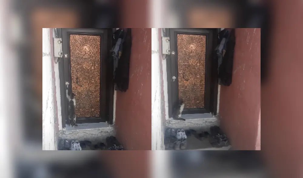 Desliza las imágenes para ver más detalles de esta escena que es viral en YouTube.