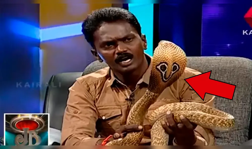 YouTube viral: hipnotizador de serpiente intenta domar a cobra en programa en vivo y sucede lo más espantoso [VIDEO]