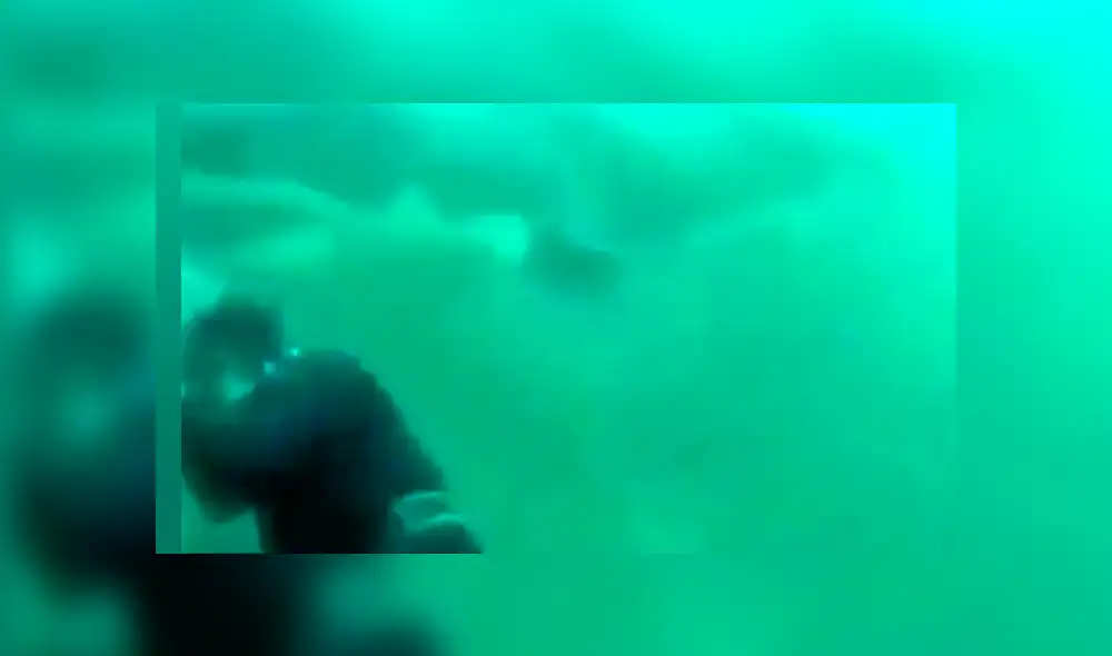 Es viral en YouTube. Hombre no se percató del escualo que apareció detrás de él y abrió sus enormes fauces para devorar su cabeza Es viral en YouTube. Hombre no se percató del escualo que apareció detrás de él y abrió sus enormes fauces para devorar su cabeza