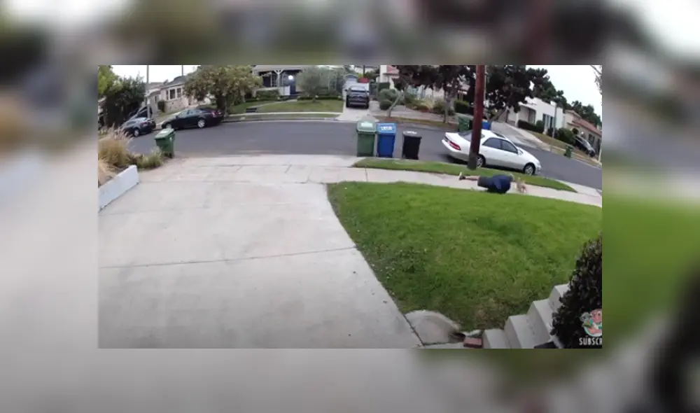 Desliza hacia la izquierda para ver las imágenes del viral de YouTube. Foto: ViralHog.