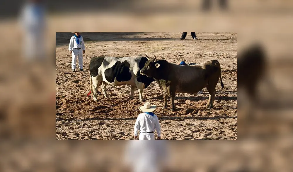 TRADICIÓN. Debate de magistrados sobre actividades culturales duró cuatro horas.