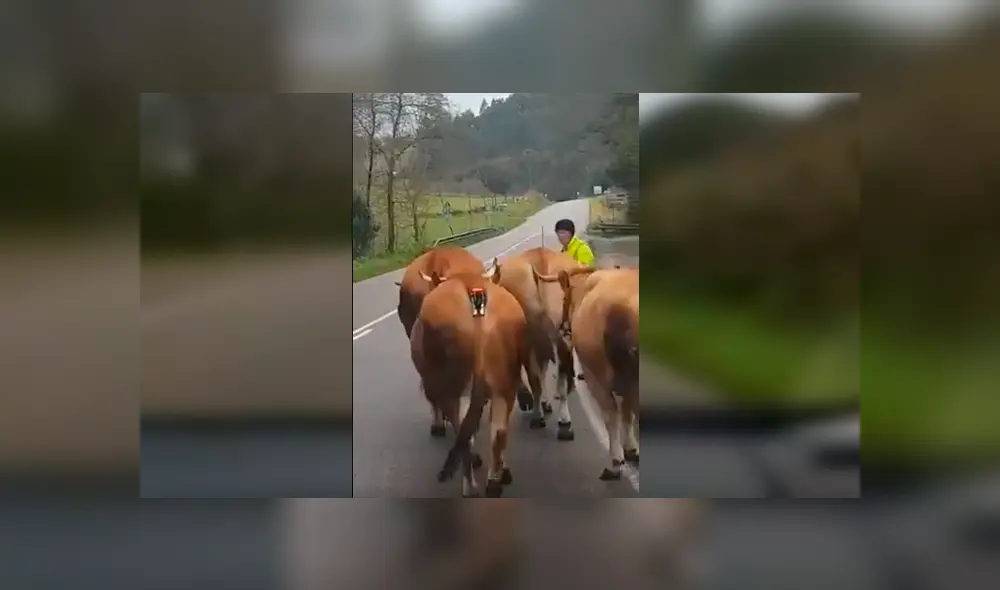 Video es viral en YouTube. El astuto hombre se ha ganado los aplausos de varios usuarios en las redes con su singular ocurrencia