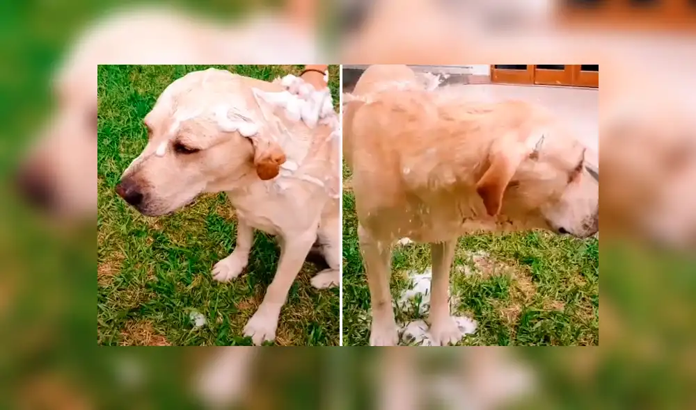 Desliza la imagen de Facebook para verlas todas.