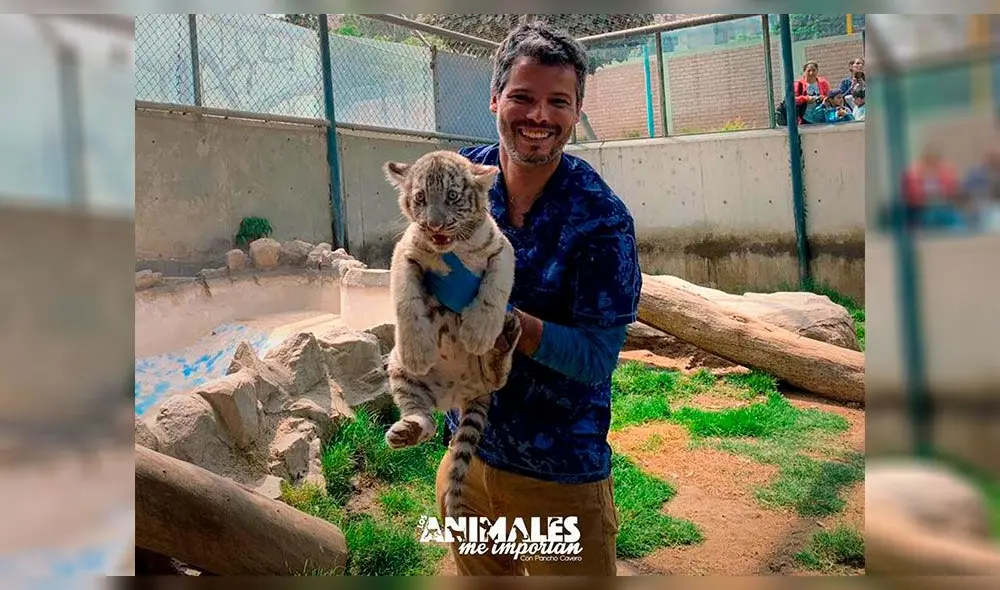 Pancho Cavero revela nombre y diagnóstico de 'Perrovaca' [VIDEO] 