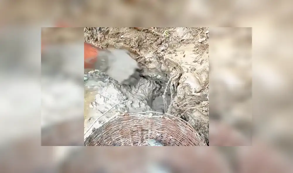 Facebook viral: descubre extraños peces tras introducir sus manos en fosa de lodo [VIDEO]