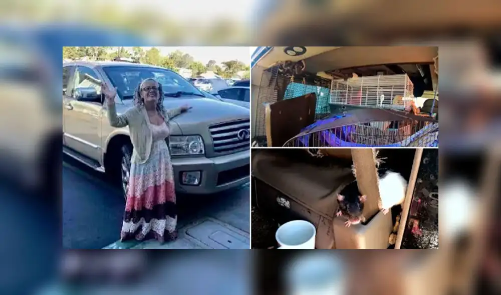 Carla (i) se había quedado sin casa y recibió el apoyo de sus vecinos. Carla (i) se había quedado sin casa y recibió el apoyo de sus vecinos.