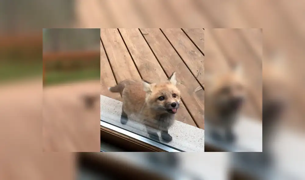 Desliza para ver los detalles del video viral publicado en Facebook. Foto: Captura.