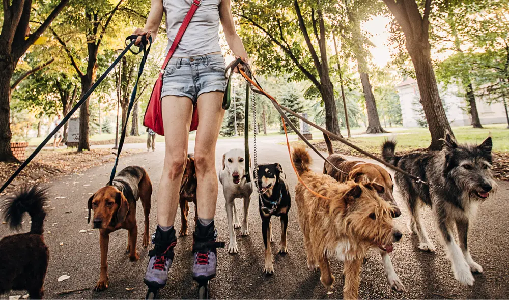 Vecinos intentaron ayudar a la mujer, pero ella les ordeno que se alejen. Foto: Canva/referencial