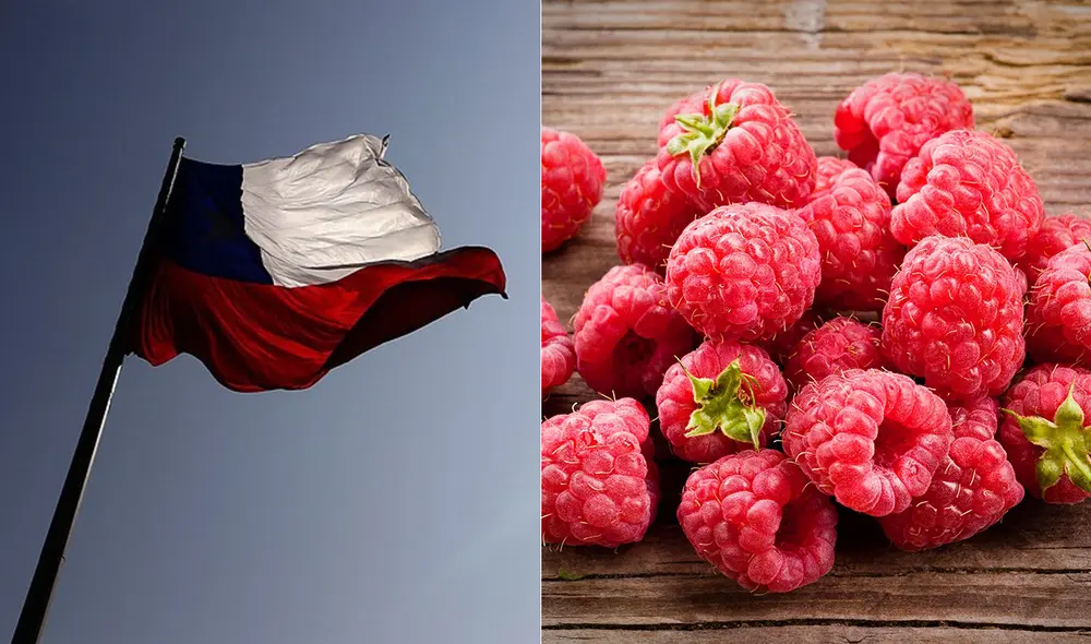 Chile frambuesas Chile frambuesas